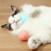 Electronic Smart Dog Toy Ball