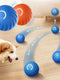 Electronic Smart Dog Toy Ball