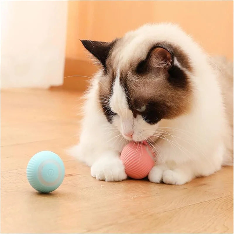 Electronic Smart Dog Toy Ball